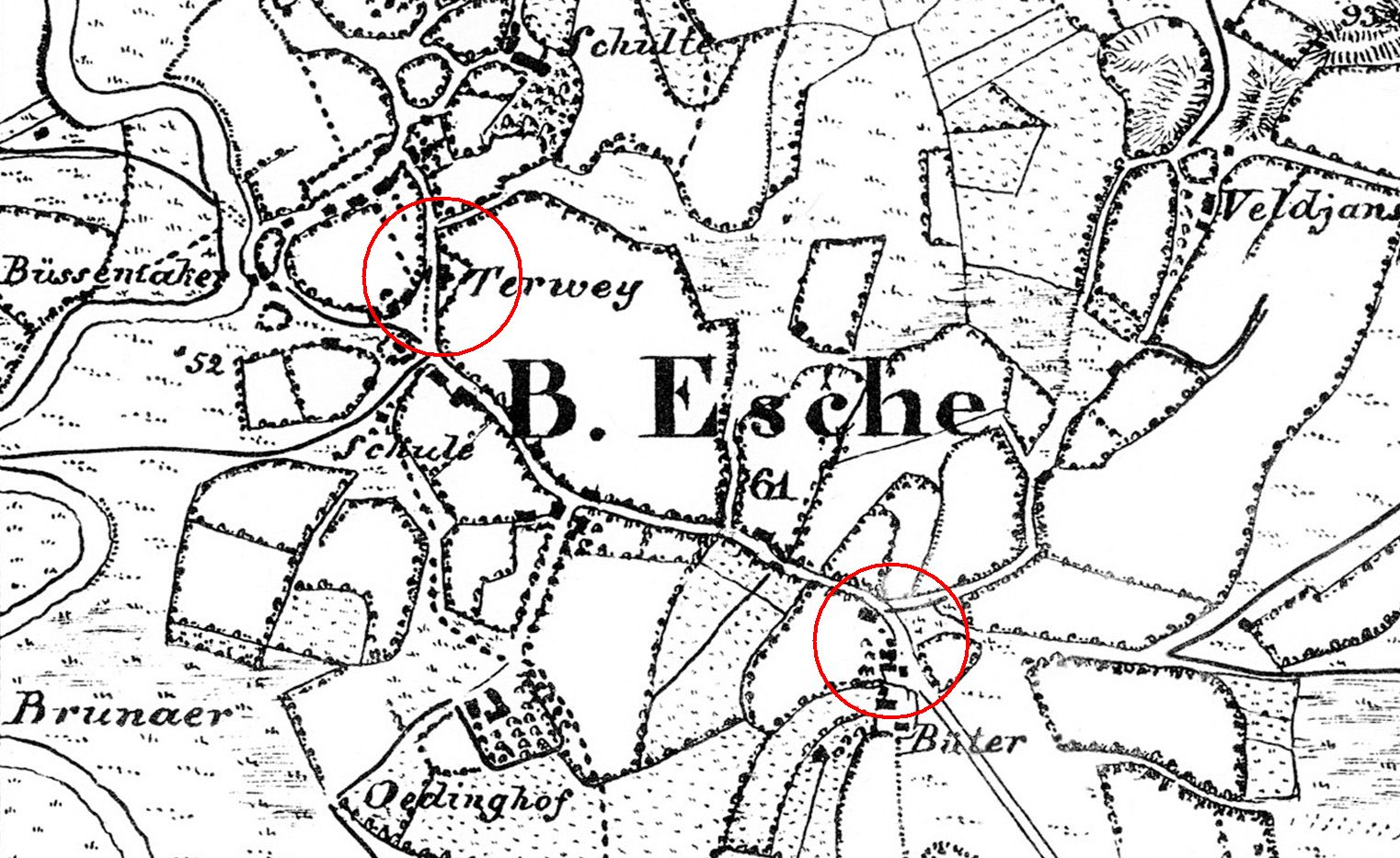esche